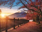 Photo Odyssey: Mount Fuji , Japan