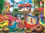 Tea Time: World of birds