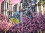 Photo Odyssey: Notre-Dame Cathedral of Paris