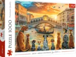 Dogs in Venice