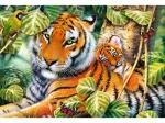 Two Tigers