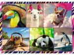 4 Puzzles - Funny animals