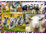 4 Puzzles - Funny animals