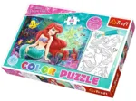 Color Puzzle - Disney Princess