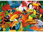 Colorful Birds