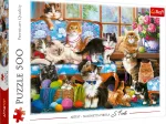 Cat Family
