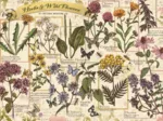 Herbarium: Medicinal Herbs