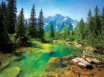 Jigsaw Puzzle - 500 Pieces - Tatras River, Poland