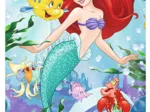 Mini Jigsaw Puzzle - Disney Princess