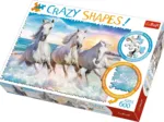 Crazy Shapes -  Galloping among the Waves