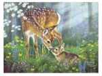Plastic Puzzle - Abraham Hunter - Forest Friends