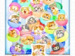 Plastic Puzzle - Kayomi - Kittens in Capsule Machine