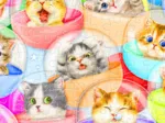 Plastic Puzzle - Kayomi - Kittens in Capsule Machine