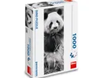 Panda in Grass